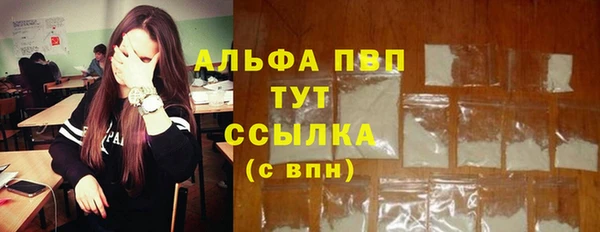 индика Балахна