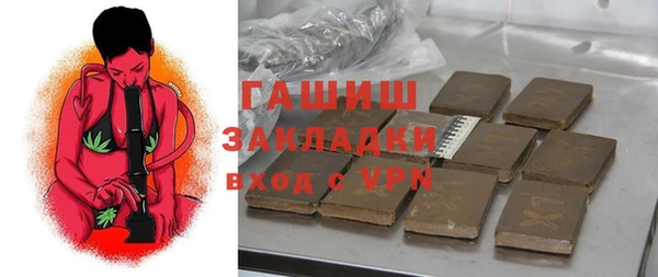 индика Балахна