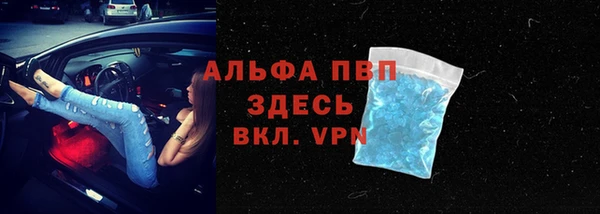 индика Балахна