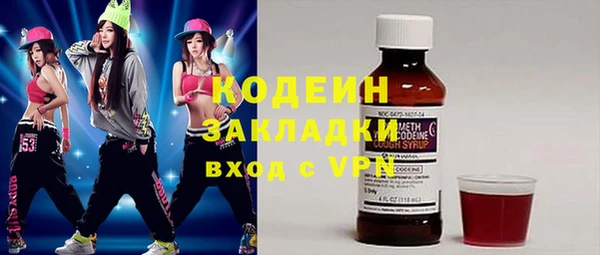 индика Балахна