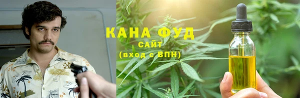 индика Балахна