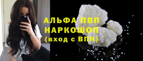 индика Балахна