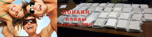 индика Балахна