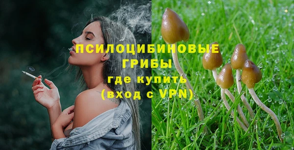 молекула духа Балабаново