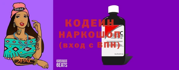 индика Балахна