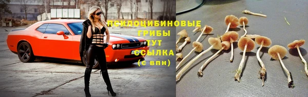 индика Балахна