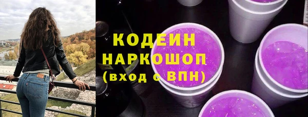 индика Балахна